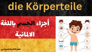 die körperteile أجزاء الجسم [upl. by Nyloc]