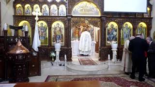 Divine Holy Liturgy  Arabic  06102024 [upl. by Tabor]