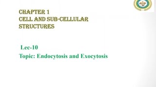 Endocytosis and Exocytosis  Phagocytosis and Pinocytosis  Bulk Transport Across Cell Membrane [upl. by Ecinnaj]