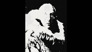 Roald Amundsen Norwegian explorer of polar regions [upl. by Inod]