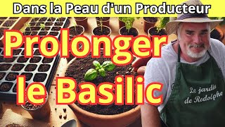 Comment Prolonger la Saison du Basilic  Techniques de Semis en Fin de Saison [upl. by Yann]