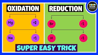 Oxidation and Reduction Reactions [upl. by Nagn520]