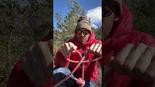 How I teach tying a clove hitch Climbing knots climbing shorts [upl. by Kcirrej887]