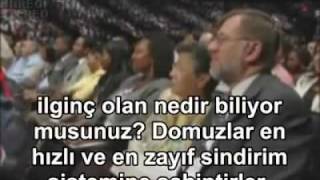 domuz eti neden zararlı bilimsel bir açıklama [upl. by Eadith]