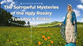 Virtual Rosary Friday  Sorrowful Mysteries  Rosary Friday  Follow Along Rosary  No Music [upl. by Fairfax576]