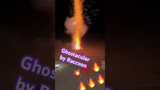 Ghostacular 5in canister by Raccoon Fireworks raccoonfireworks bestfireworks Raccoon MajorPyro [upl. by Marie655]