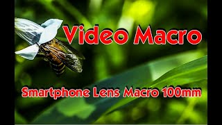 📹 Video Macro Smartphone Lens Macro 100mm [upl. by Cornelia]