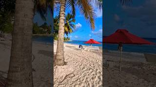 Dover Beach Barbados shorts [upl. by Kier793]