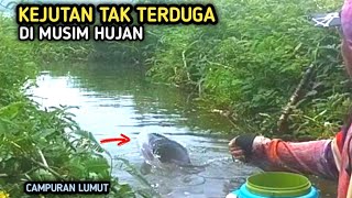 KEJUTAN DI MUSIM HUJANCampuran Lumut Untuk Umpan Mancing Ikan Nila [upl. by Sibyl]