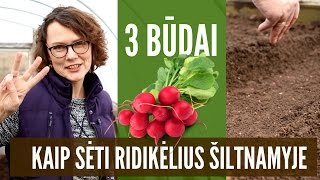 Kaip sėti ridikėlius  3 paprasti būdai [upl. by Nyvlem]