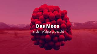 Das Murnauer Moos  Walpurgisnacht 2023  Ansichten von oben und innen [upl. by Nyleek]