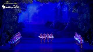 Svanesjøen – Kyiv National Ballet • torsdag 0202 2023 [upl. by Annat]