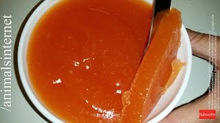 Quince pastecheesejammarmalade recipe How to make step by step Portuguese food 4k UHD [upl. by Nealy48]