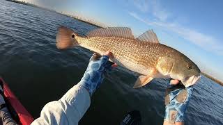 Fly Fishing Aransas Pass Texas [upl. by Lazos]