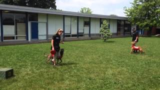 Walkersville Middle School Career Day [upl. by Refotsirk]