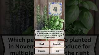 Plant This Herb once harvest forever shrots gardeningshorts beginnergardener herbs [upl. by Ztnarf]