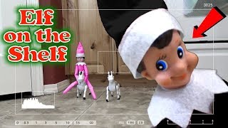 Elf on the Shelf Caught on Camera Every Clip in one Video Trinity and Beyond [upl. by Gristede6]