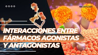 El Juego de la Inhibición Explorando las mecanismos entre Agonistas y Antagonistas [upl. by Aled]