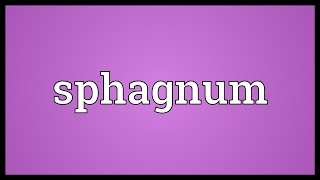 Sphagnum Meaning [upl. by Lorenzo]