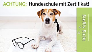 Hundeschule ➡️ ACHTUNG Zertifizierte Hundeschule Macht ein Zertifikat Sinn [upl. by Delila]