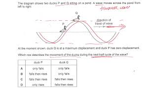 Movement of duck P and Q on water during next half cycle of wave 2018 PP P1Q24 [upl. by Macmillan264]