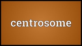 Centrosome Meaning [upl. by Farlay]