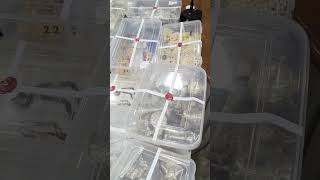 Watch 12kg silver and 1kg gold ornaments worth crores of rupees recovered in Mapusa robbery case [upl. by Coulson418]