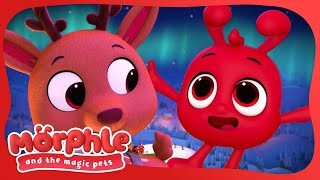 The Flying Glowing Reindeer 🦌  Morphle and the Magic Pets  Kids Cartoon Videos [upl. by Ydeh71]