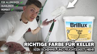 Kein Schimmel mehr durch diese Farbe Keller richtig streichen mit Brillux Silikatfarbe [upl. by Nazar]