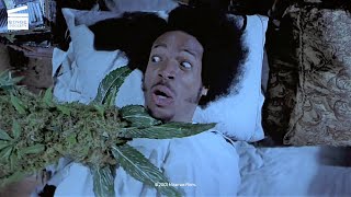 Scary Movie 2 Shorty gets smoked by his own weed HD CLIP [upl. by Rorrys4]