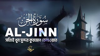 Really beautiful Quran recitation of SURAH JINN الجن  Tareg Muhammed [upl. by Horlacher]