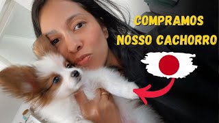 COMPRAMOS NOSSO CACHORRO NO JAPÃO [upl. by Ragucci404]