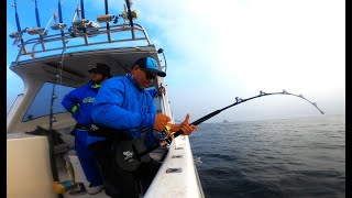 Hunting HUGE Yellow Fin Tuna [upl. by Halda]