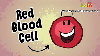 What is Sickle Cell  Animation [upl. by Honorine397]