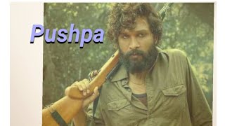 Pushpa  South Indian movies  Hindi dubbed alluarjun rashmikamandanna [upl. by Reivilo]