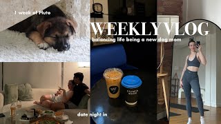 WEEKLY VLOG☀️6am days girl chats 9week old puppy date night workout with me healthy lifestyle [upl. by Gabrielle620]