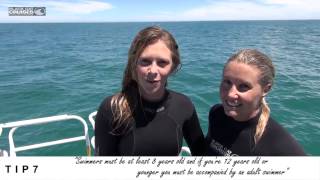 Top 10 tips for Dolphin Swimming in Akaroa [upl. by Dub]