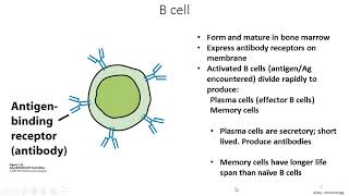 Systemic toxicity inflammation carcinogenicity [upl. by Mast70]