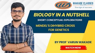 Mendels Dihybrid Cross for Genetics [upl. by Aniala]