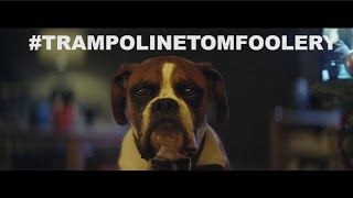 John Lewis Christmas Advert PARODY 2016  BusterTheBoxer TrampolineTomfoolery [upl. by Fridlund]