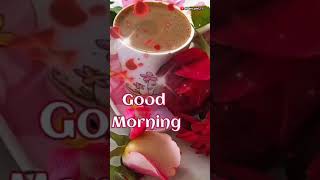 NEW GOOD MORNING 💐🌷 video status🌹 Hindi song shortvideo goodmorning whasappstatusindia shorts [upl. by Ellemaj]