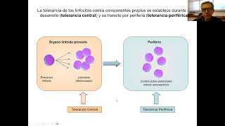 9 Desarrollo de linfocitos B y T y mecanismos de tolerancia [upl. by Holland]