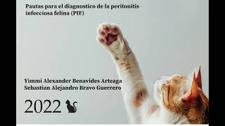 Peritonitis Infecciosa Felina  Guias para el diagnostico  Parte I [upl. by Hulton]