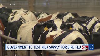 Government to test milk supply for bird flu [upl. by Htebasyle933]