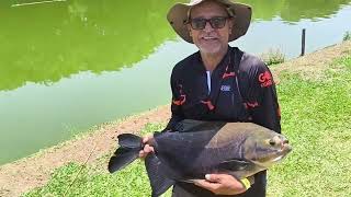 Nenê Oliani que disputa Zelão 28pa pa pá 29  muita ação gudunho pego 🎣😁🐟 [upl. by Imelda]