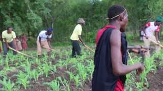 Tanzania Sukuma Bachonga Magembe working in the fields [upl. by Idolah]