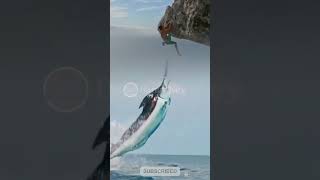 Pemanjat tebing nyaris diserang ikan marlin 😱 amazing fishing viralvideo [upl. by Nell51]