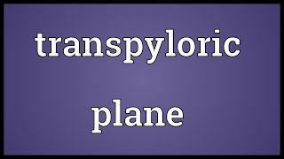 Transpyloric plane Meaning [upl. by Hallie]