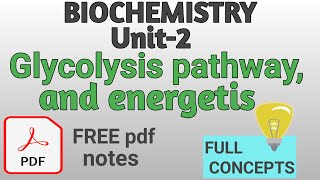 Glycolysis cycle  Glycolysis pathway and energetics  B pharmacy 2nd semester  Biochemistry [upl. by Asilla]