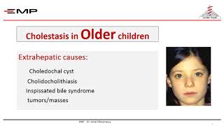 cholestasis segment 2 [upl. by Dorsey]